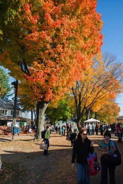 Rhinebeck 2013 – part 1